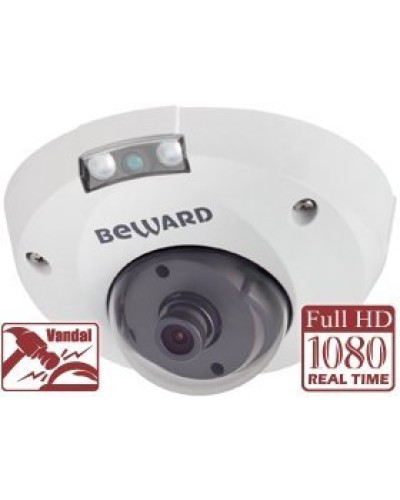 NK55630D8. IP-камера купольная. Beward в Люберцах