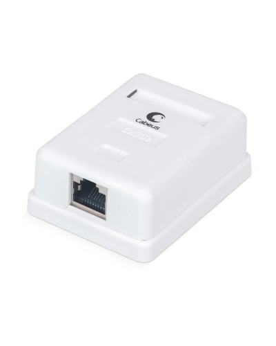 WS-8P8C-Cat.5e-SH-1 (7485c): Розетка RJ-45 в Люберцах