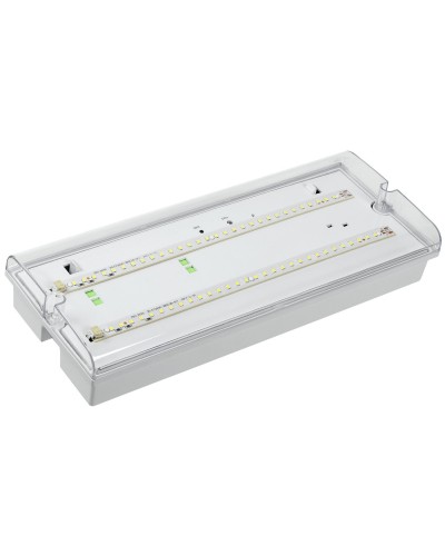 Светильник аварийный ДПА 5042-1 1ч IP65 LIGHTING (LDPA0-5042-1-65-K01). Светильник аварийный универсальный. IEK в Люберцах