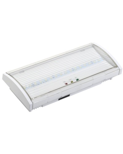 Светильник аварийный ДПА 5043-3 10-24/220В 3ч IP54 LIGHTING (LDPA1-5040-3-54-K01). Светильник аварийный постоянного действия. IEK в Люберцах