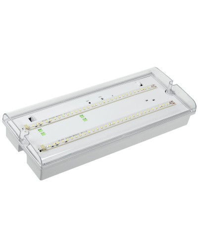Светильник аварийный ДПА 5042-3 3ч IP65 LIGHTING (LDPA0-5042-3-65-K01). Светильник аварийный универсальный. IEK в Люберцах