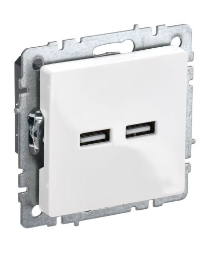 Розетка USB A+A 3,1А РЮ10-1-БрБ белый BRITE (BR-U21-D31-K01). Розетка USB. IEK в Люберцах
