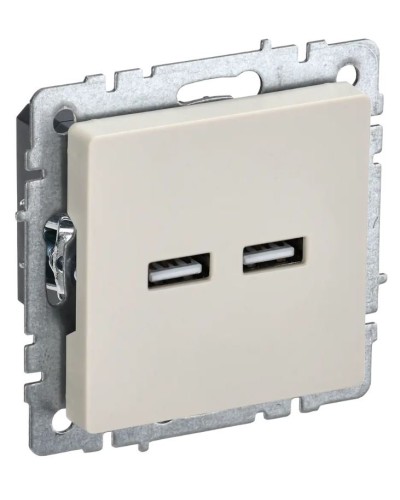 Розетка USB A+A 3,1А РЮ10-1-БрКр бежевый BRITE (BR-U21-D31-K10). Розетка USB. IEK в Люберцах