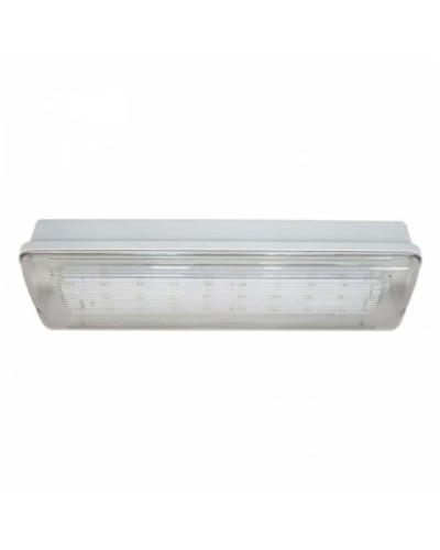 SL-223-30LED1.8 исп.1 IP54. Светильник аварийного освещения. ИП Раченков А.В. в Люберцах